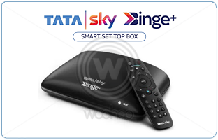 Tata Sky Binge Plus Subscription E-Gift Card(Instant Voucher)